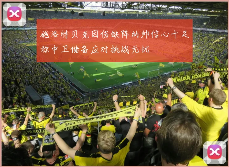施洛特贝克因伤缺阵纳帅信心十足称中卫储备应对挑战无忧
